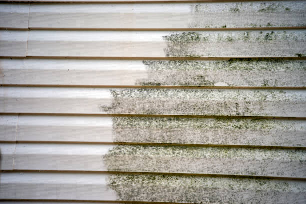 Best Residential Junk Removal  in Aiken, SC